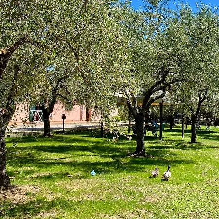 Terme Isola D'elba Srl Aparthotel