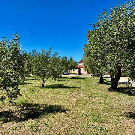 Terme Isola D'elba Srl