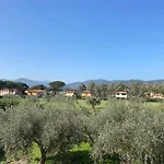 Terme Isola D'elba Srl 3* 费拉约港