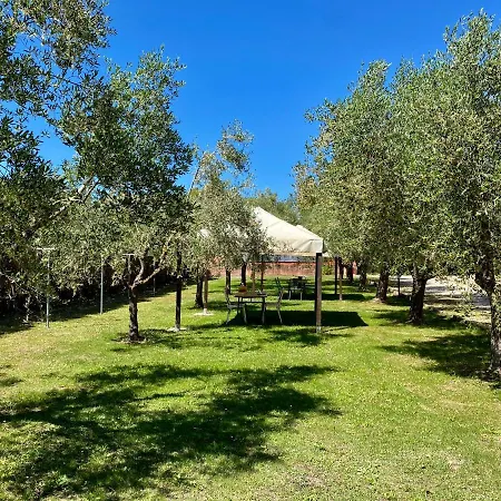 Terme Isola D'elba Srl بورتوفيرّايو