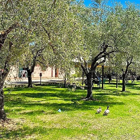 Terme Isola D'elba Srl