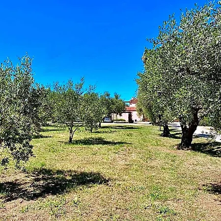 شقة فندقية Terme Isola D'elba Srl 3*