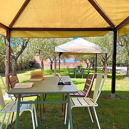 Terme Isola D'elba Srl بورتوفيرّايو