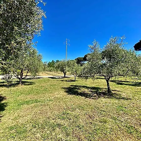 Terme Isola D'elba Srl 3* بورتوفيرّايو