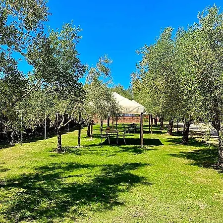 Terme Isola D'elba Srl 3* 费拉约港