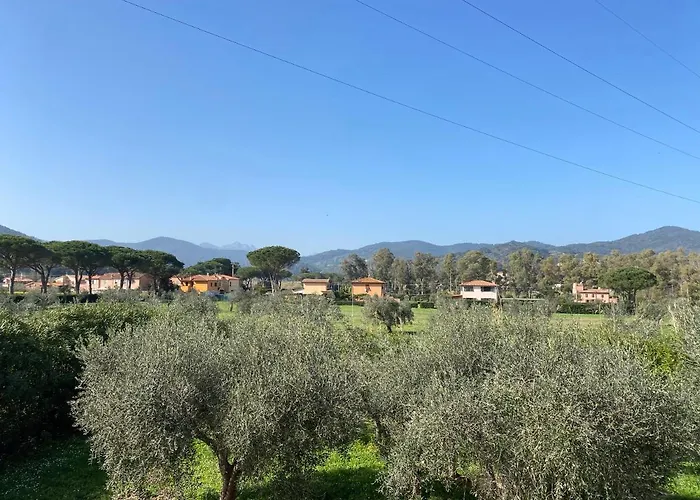 Terme Isola D'elba Srl 3* Portoferraio