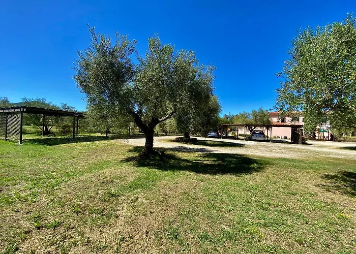 Aparthotel Terme Isola D'elba Srl