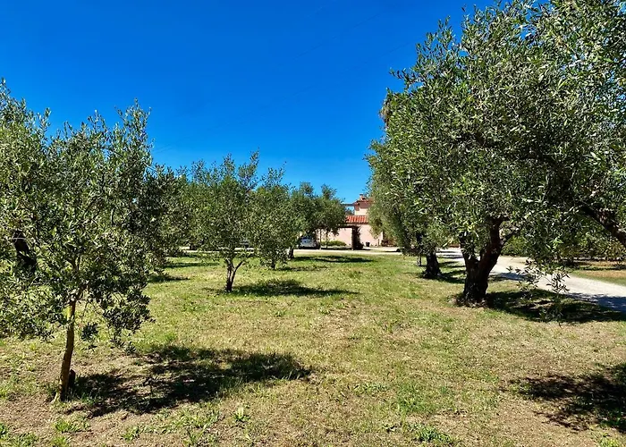 Terme Isola D'elba Srl