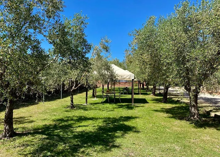 Terme Isola D'elba Srl Portoferraio