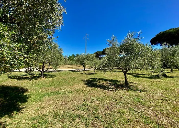 Terme Isola D'elba Srl *