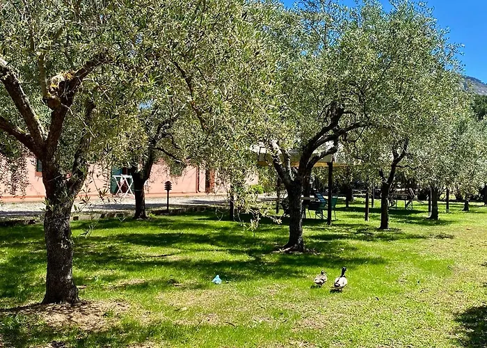 Terme Isola D'elba Srl Aparthotel Portoferraio